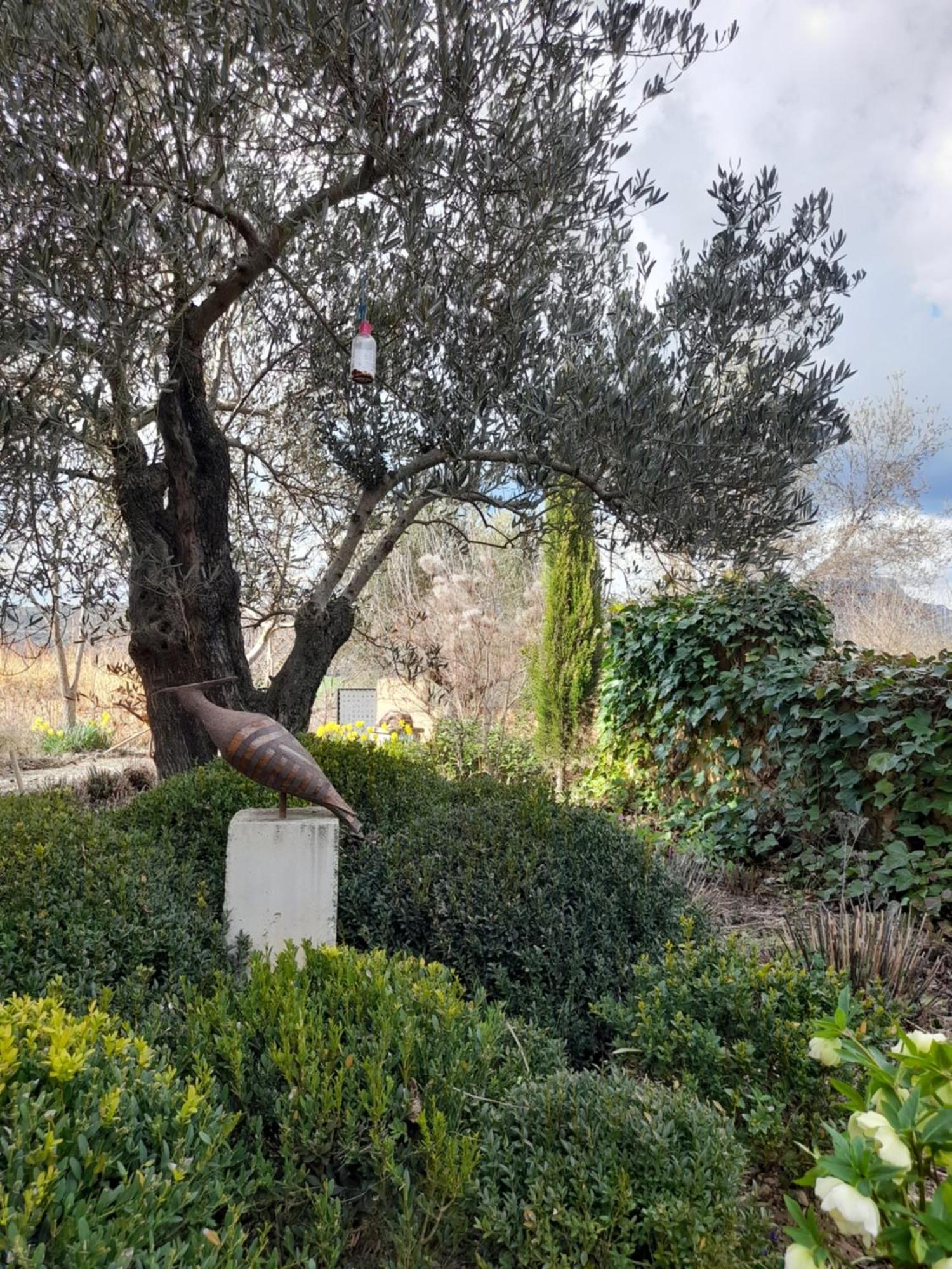 Casa Cholavila Laguarres Εξωτερικό φωτογραφία